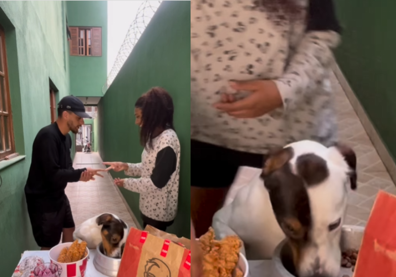 Cadu, cachorrinho que dispensa frango do KFC é só come ração, diverte as redes; vídeo